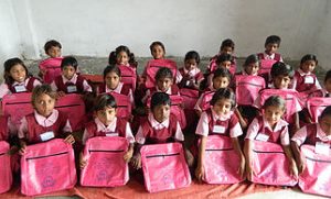 book Art of Living Free Schools